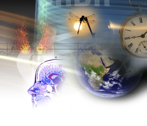 home_collage_nowords