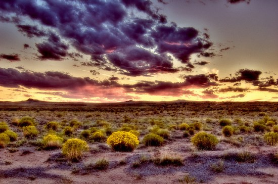 Meksička zona tišine