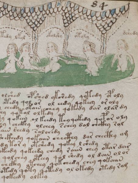 Voynich manuscript