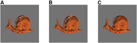 preconstancy_vision_in_infants_current_biology