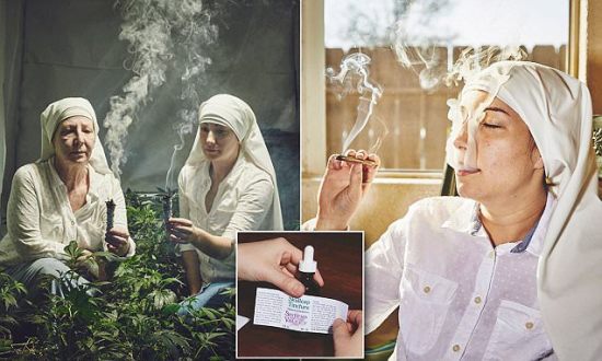 redovnice uzgoj marihuana os uma