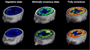 (Credit: Stender et. al)